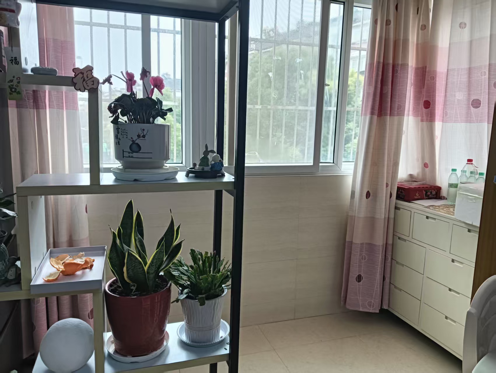 五山新苑 1室1厅1卫 54.9m²