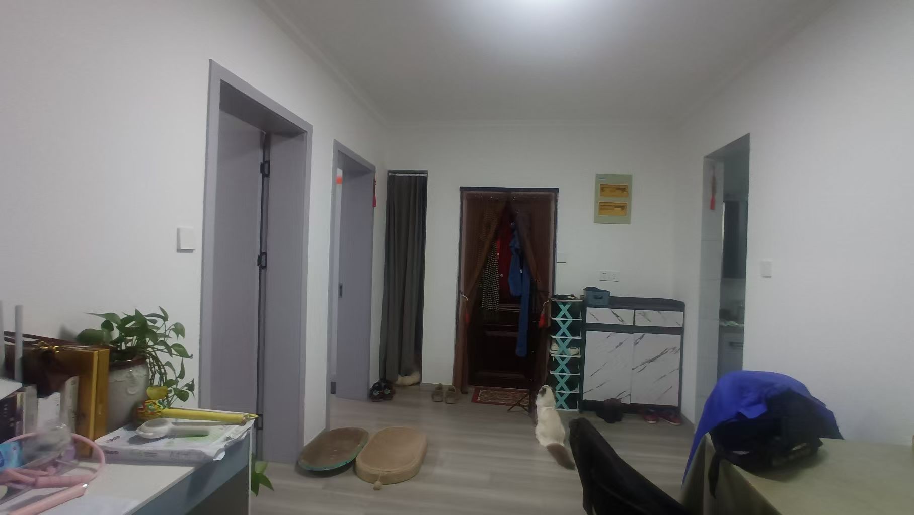 光明东村三期 2室1厅1卫 62.33m²