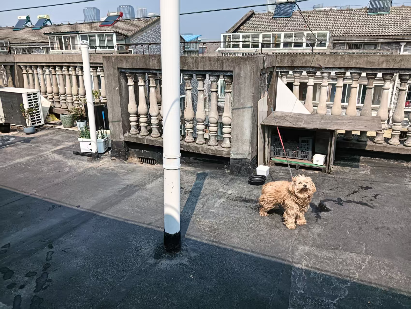 五山花苑 3室2厅1卫 151.50m&sup2;