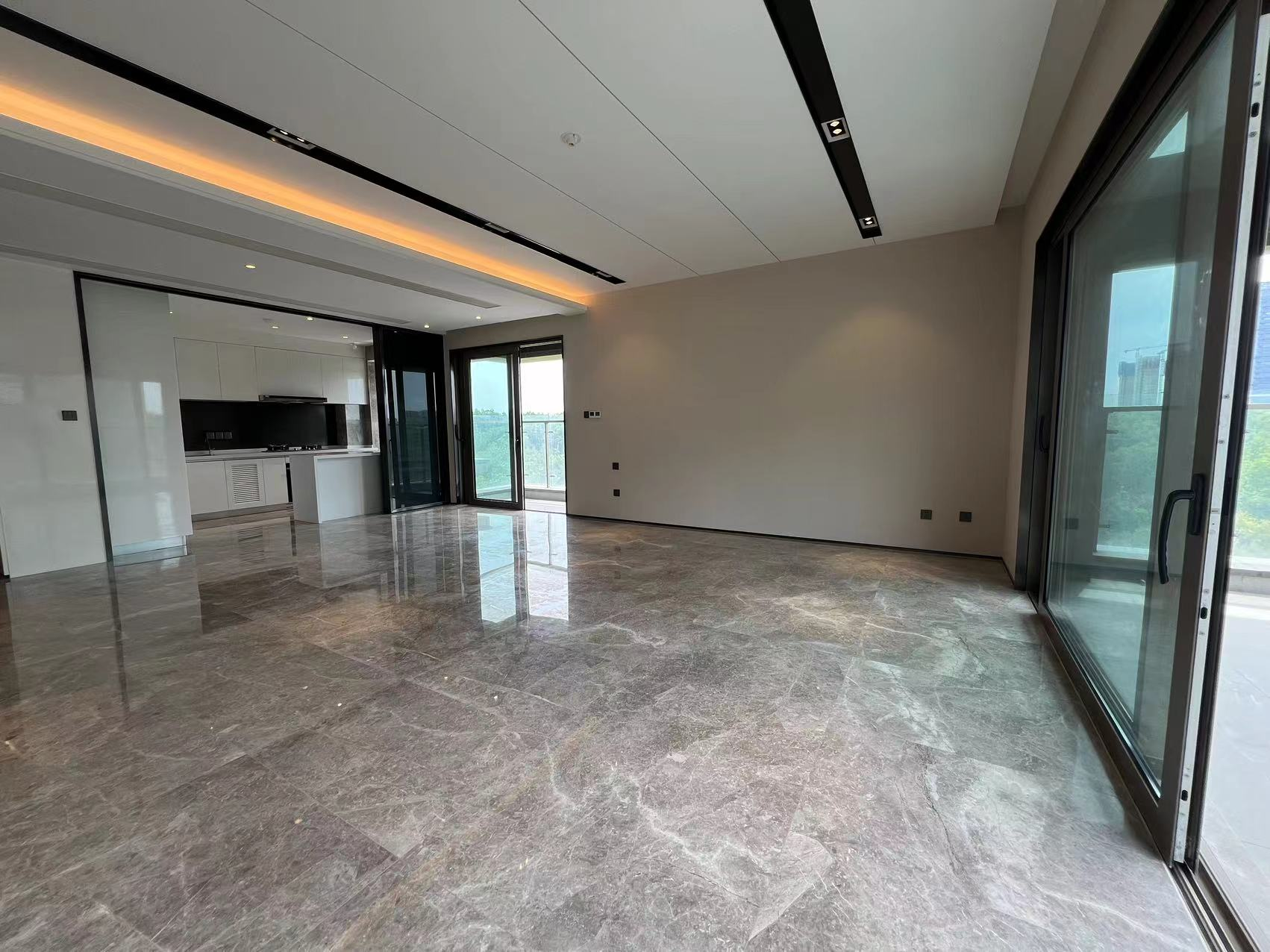 仁恒公园世纪 1室1厅1卫 230.00m&sup2;