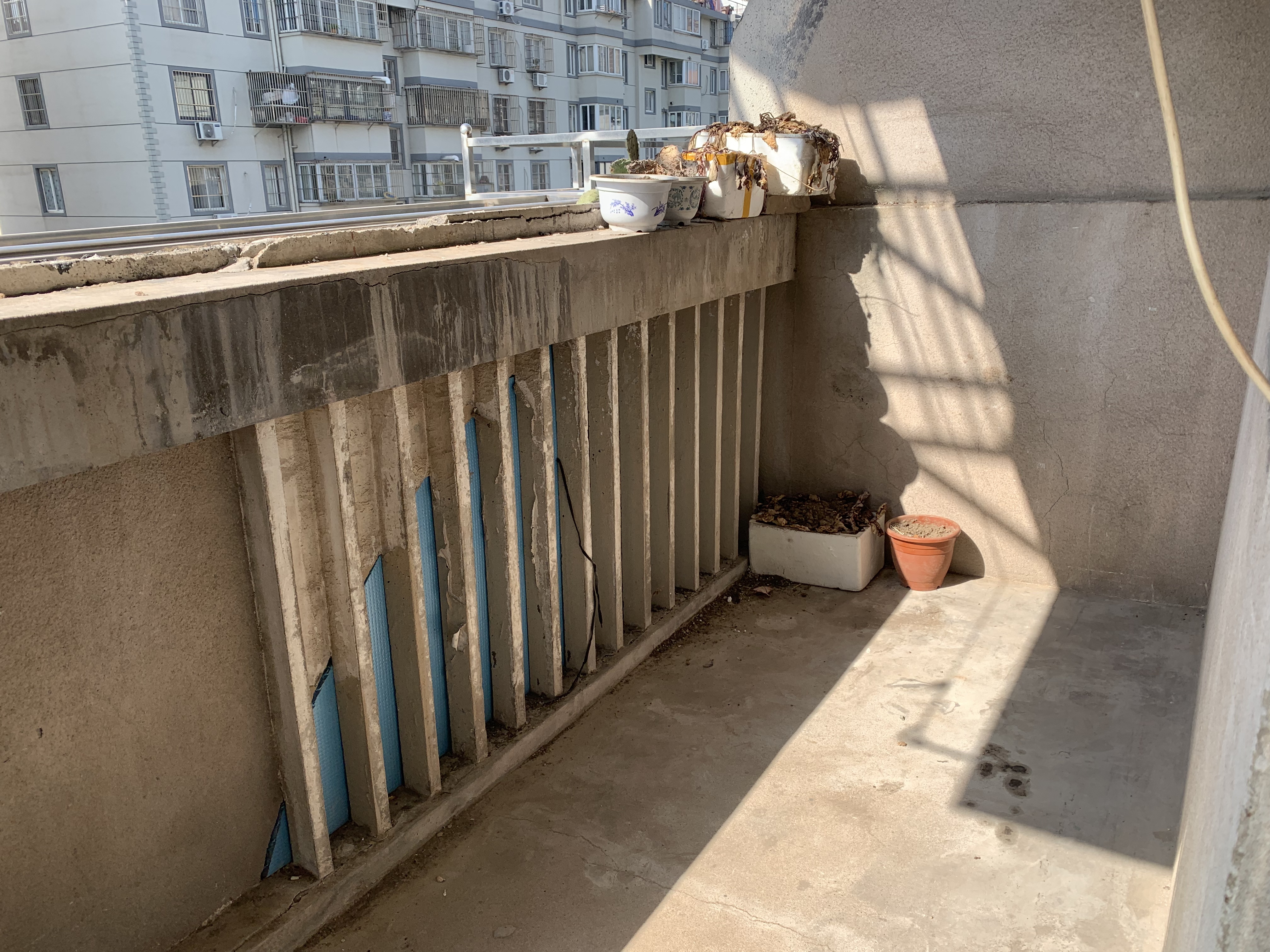 新桥北村 1室1厅1卫 48m²