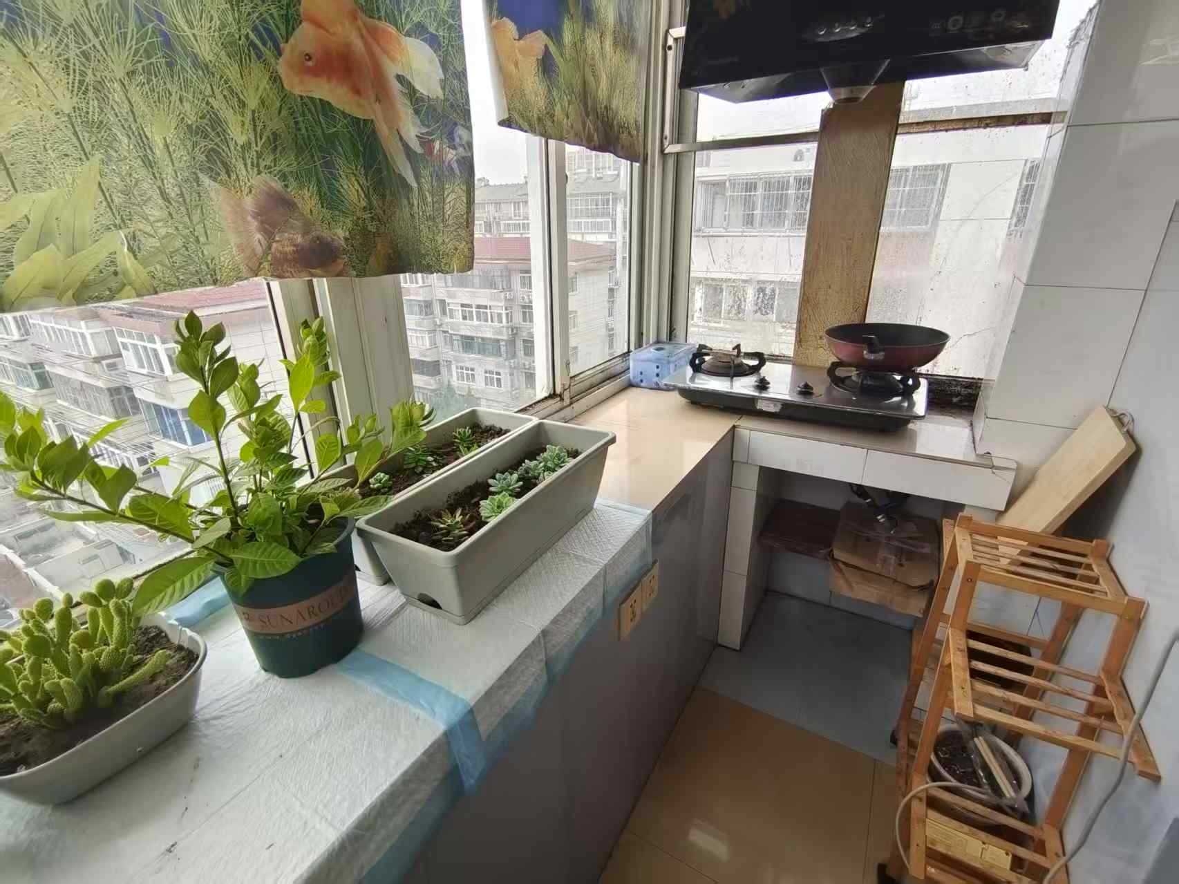 光明东村一期 2室1厅1卫 62m&sup2;