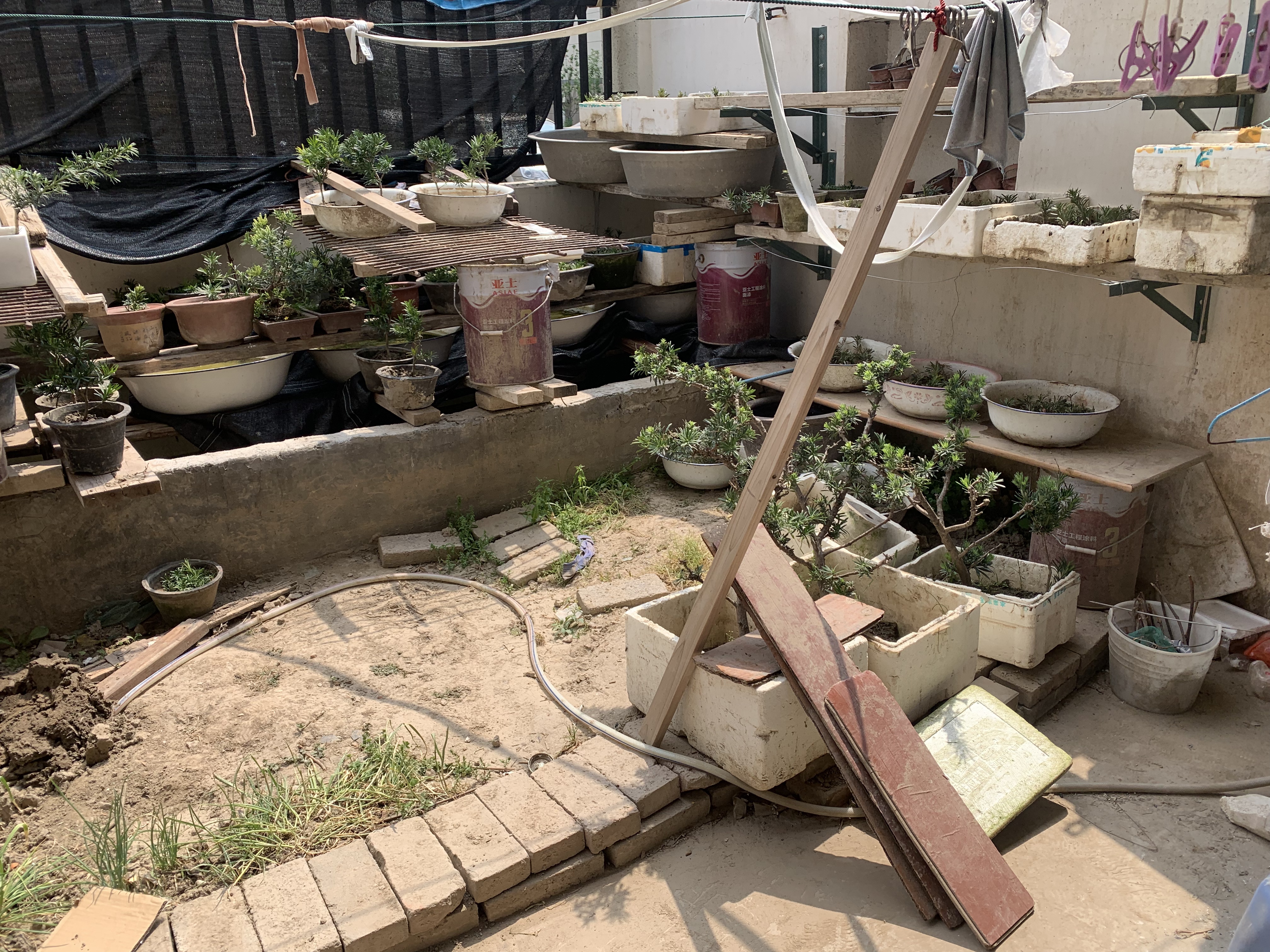 新桥北村 2室1厅1卫 61.5m&sup2;