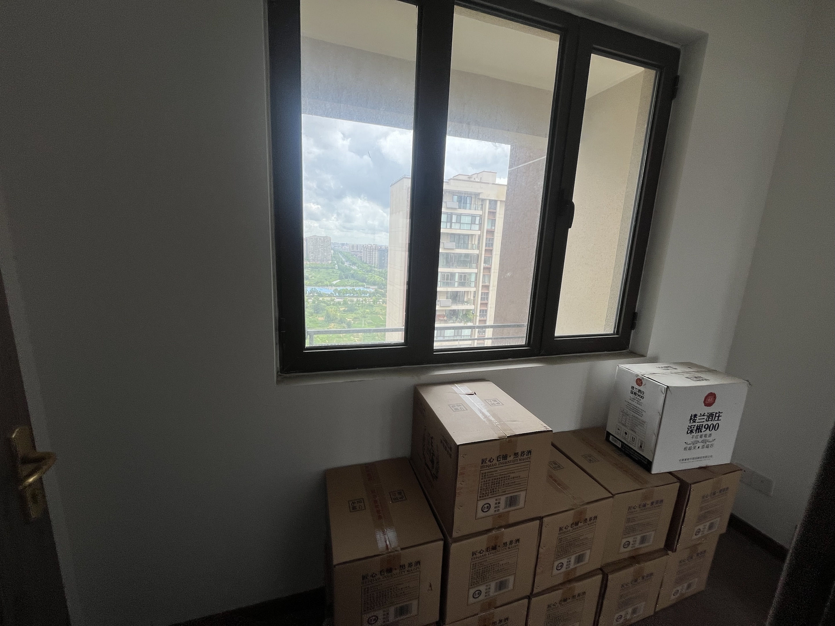碧桂园时代悦城 3室2厅2卫 113m&sup2;