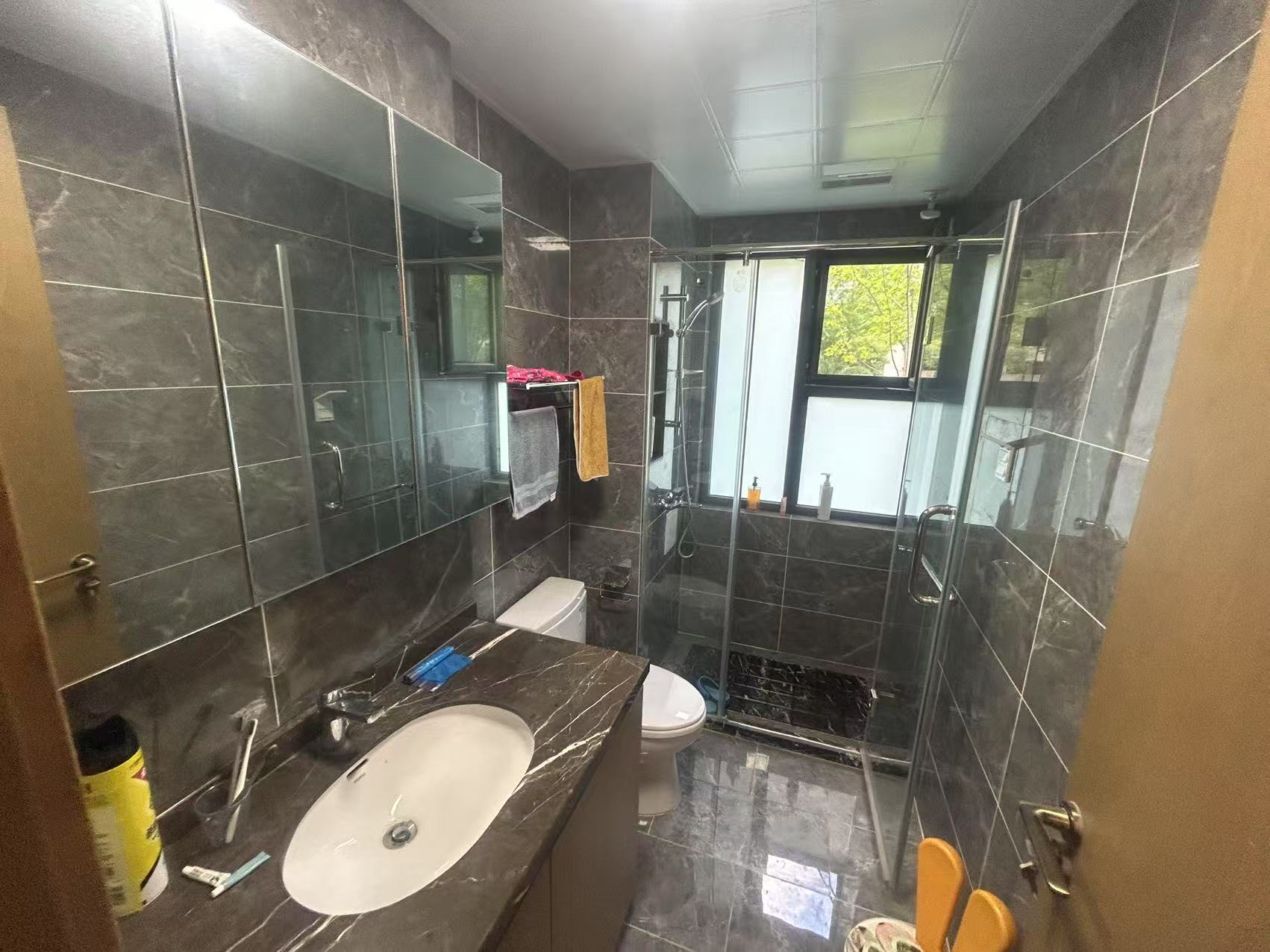 远创宸樾 3室2厅2卫 290.00m&sup2;