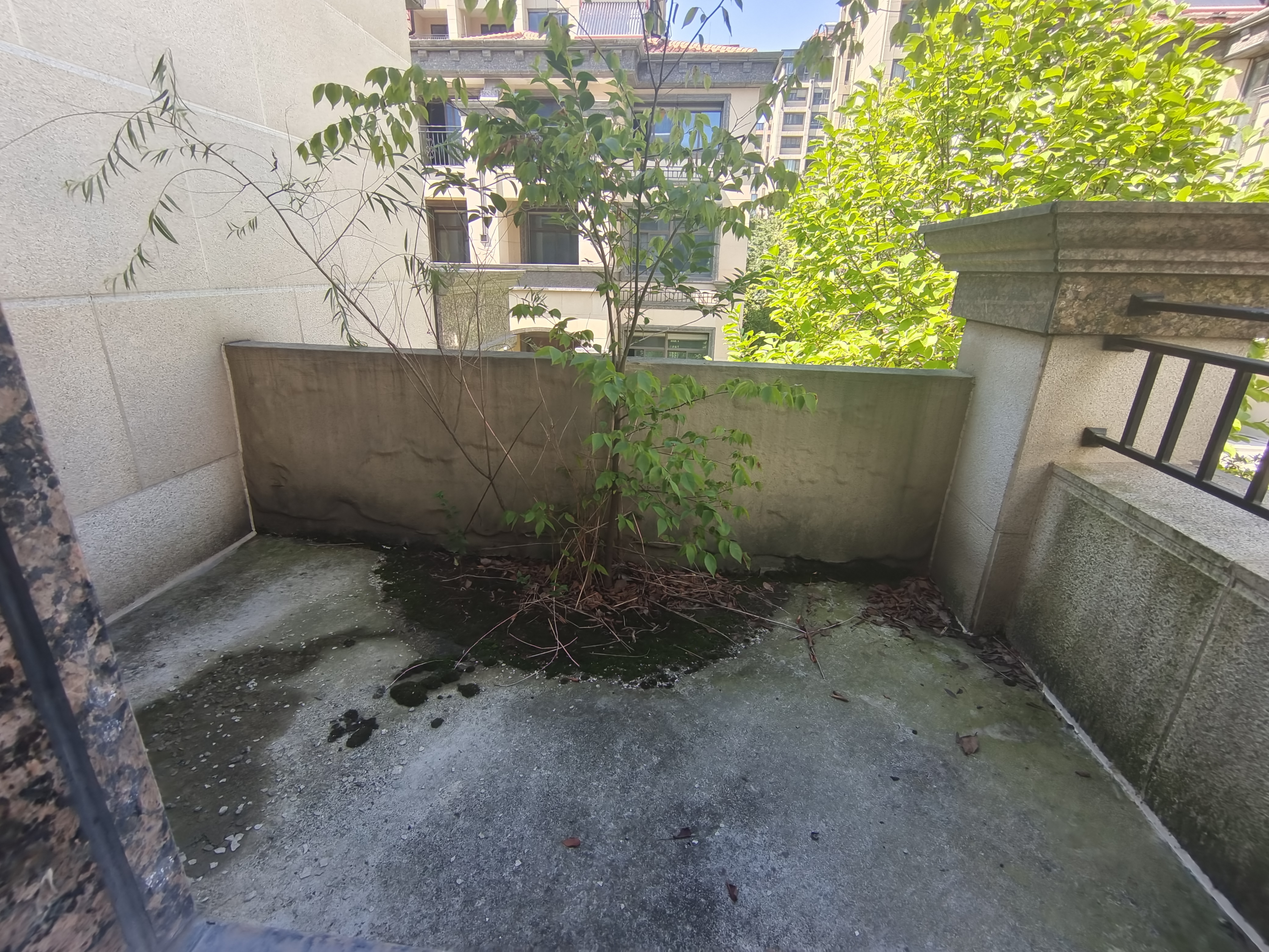 正泰江岸水苑 5室2厅3卫 226m&sup2;