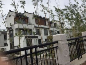 九间堂山居 5室3厅4卫 250m&sup2;
