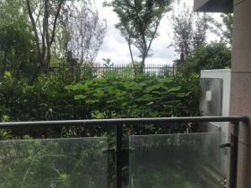 碧桂园时代悦城 3室2厅2卫 169m&sup2;