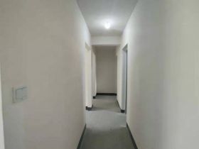 绿地新里城 3室2厅1卫 90m&sup2;