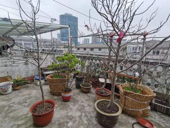 天都花苑 4室2厅2卫 141.3m&sup2;