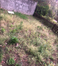 桐墅湾 3室2厅1卫 127m&sup2;