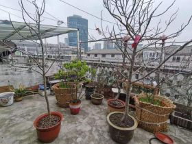 天都花苑 4室2厅2卫 141.3m&sup2;