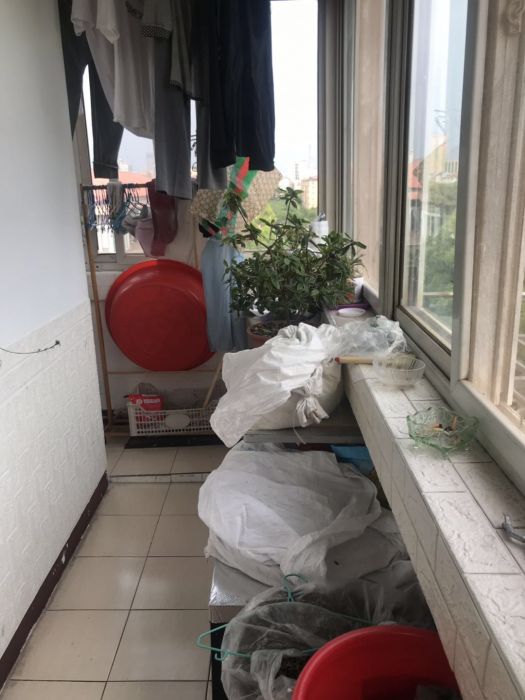 虹桥新村(朝霞路) 2室1厅1卫 67m&sup2;