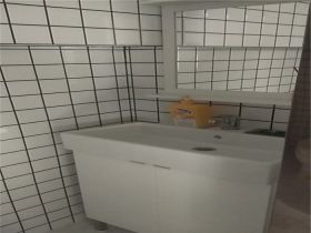 中南世纪城 1室厅卫 58m&sup2;