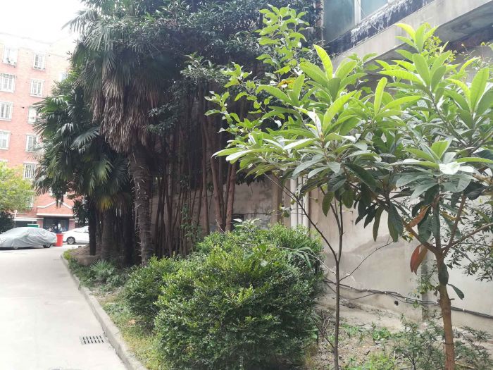健康公寓 3室2厅2卫 148m&sup2;