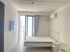 中港白金大厦 1室厅卫 31m&sup2;