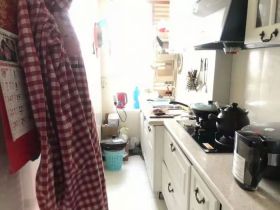 紫阳开心公寓 2室1厅1卫 51