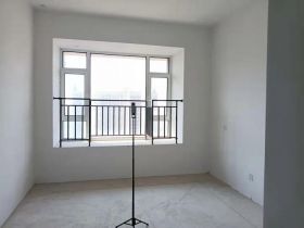 中南世纪花城三期 4室2厅4卫 275m&sup2;