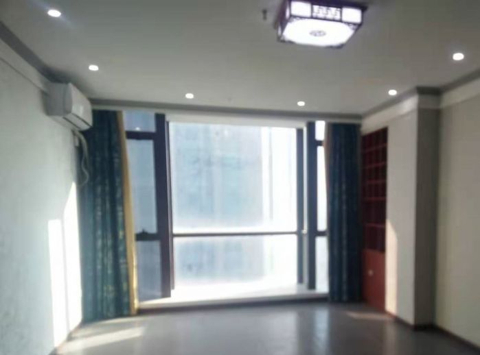 汇金国际 1室1厅1卫 62m&sup2;