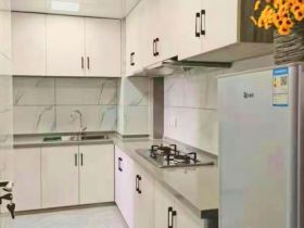 帝奥世伦名郡 2室1厅1卫 96m&sup2;