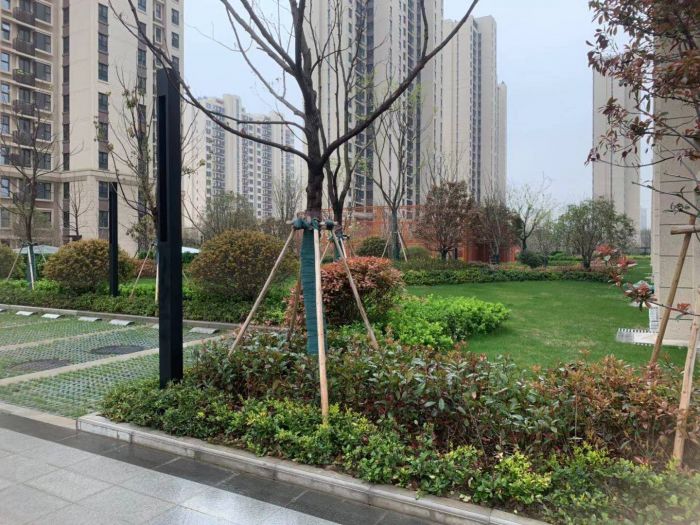 春风南岸西园 3室2厅1卫 96m&sup2;