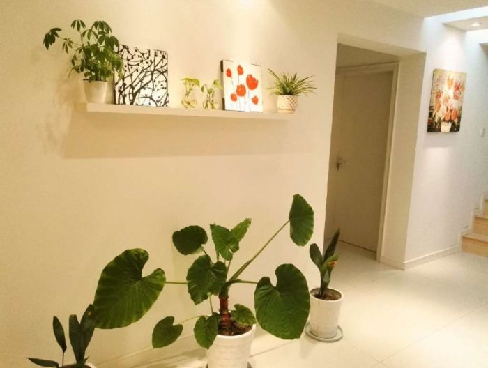 天都花苑 1室2厅1卫 260.00m²