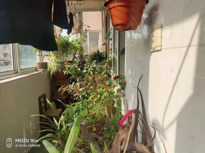 易家桥新村 3室2厅1卫 88m&sup2;