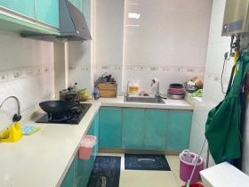 帝奥世伦名郡 2室2厅1卫 96m&sup2;