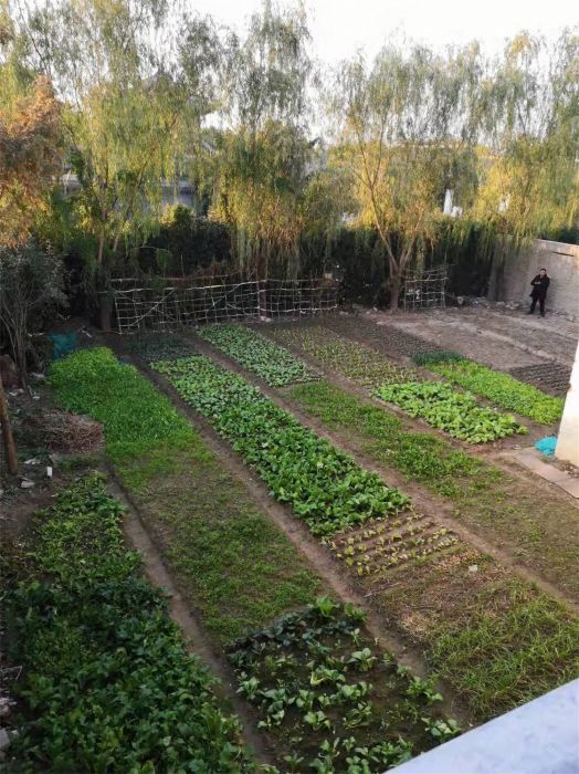 九间堂山居 5室3厅3卫 600.00m&sup2;
