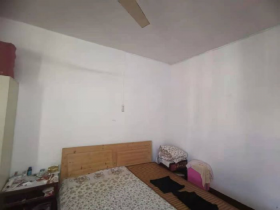 青年路新村 1室1厅1卫 41m&sup2;