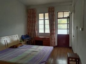 板桥东村 1室1厅1卫 45m&sup2;