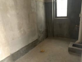 万科有湖（翡翠心湖） 4室2厅4卫 256m&sup2;