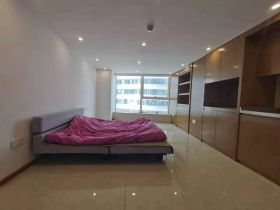 中南世纪城 1室1厅1卫 51.5m²
