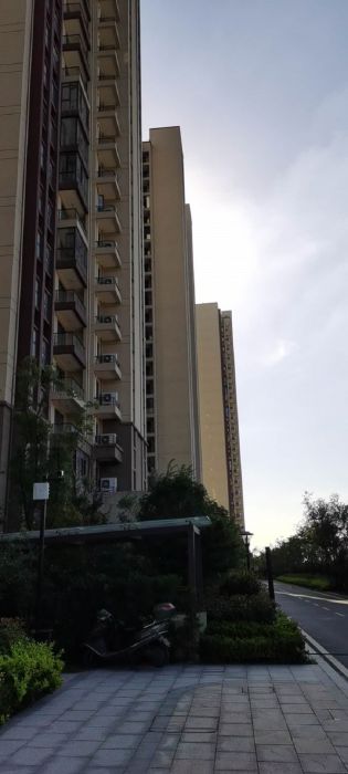 碧桂园时代悦城 3室2厅2卫 114m&sup2;