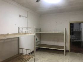 青年中路9号 1室1厅1卫 38m&sup2;