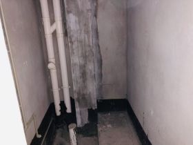 中南世纪花城三期 4室2厅5卫 275m&sup2;