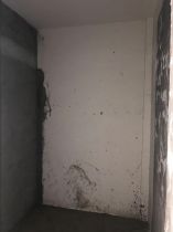 莱茵河畔 4室2厅2卫 135m&sup2;