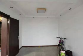 易家桥新村 1室1厅1卫 36.5m²