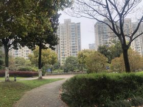新城小区 3室2厅1卫 171.00m&sup2;