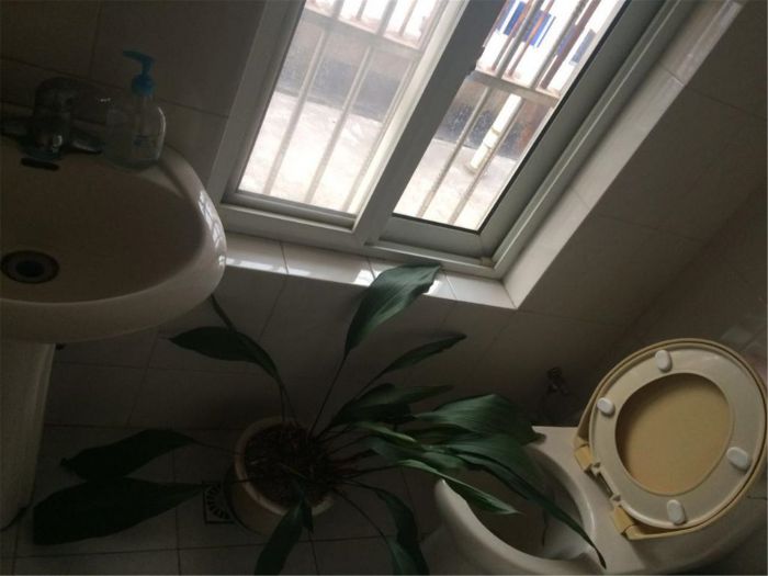 光明南村 5室2厅1卫 191m&sup2;