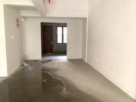 万科有湖（翡翠心湖） 4室2厅4卫 256m&sup2;