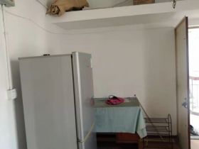 板桥东村 1室1厅1卫 45m&sup2;