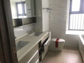 碧桂园时代悦城 3室2厅2卫 169m&sup2;