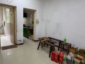 星宇花园 1室1厅1卫 53m²