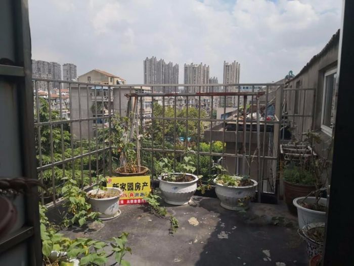 新桥新村 2室2厅1卫 42.8m&sup2;