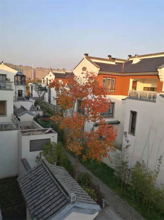 九间堂山居 5室3厅3卫 600.00m&sup2;