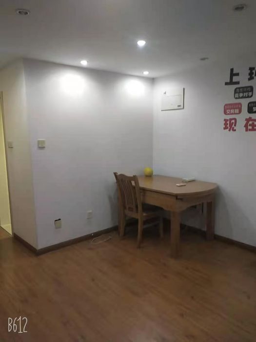 金海岸国际广场 1室1厅1卫 55m&sup2;