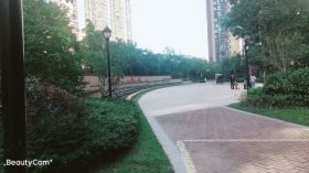 华强城 3室1厅1卫 89m&sup2;
