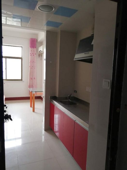 美丽华红木大世界 1室厅1卫 33m&sup2;