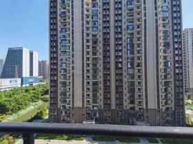 碧桂园时代悦城 3室2厅2卫 114.00m&sup2;